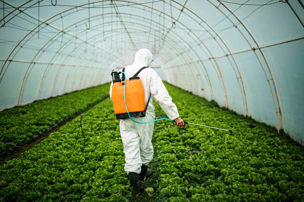 Best Pest Inspection Near Me  in Conway, SC