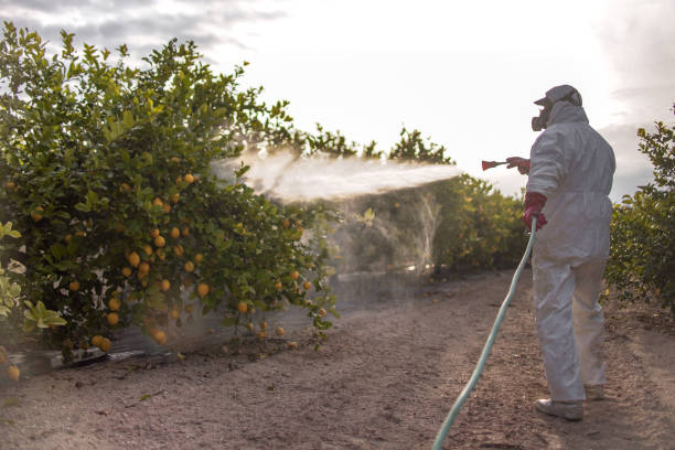 Best Mosquito Control Services  in Conway, SC
