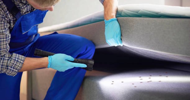 Professional Pest Control in Conway, SC